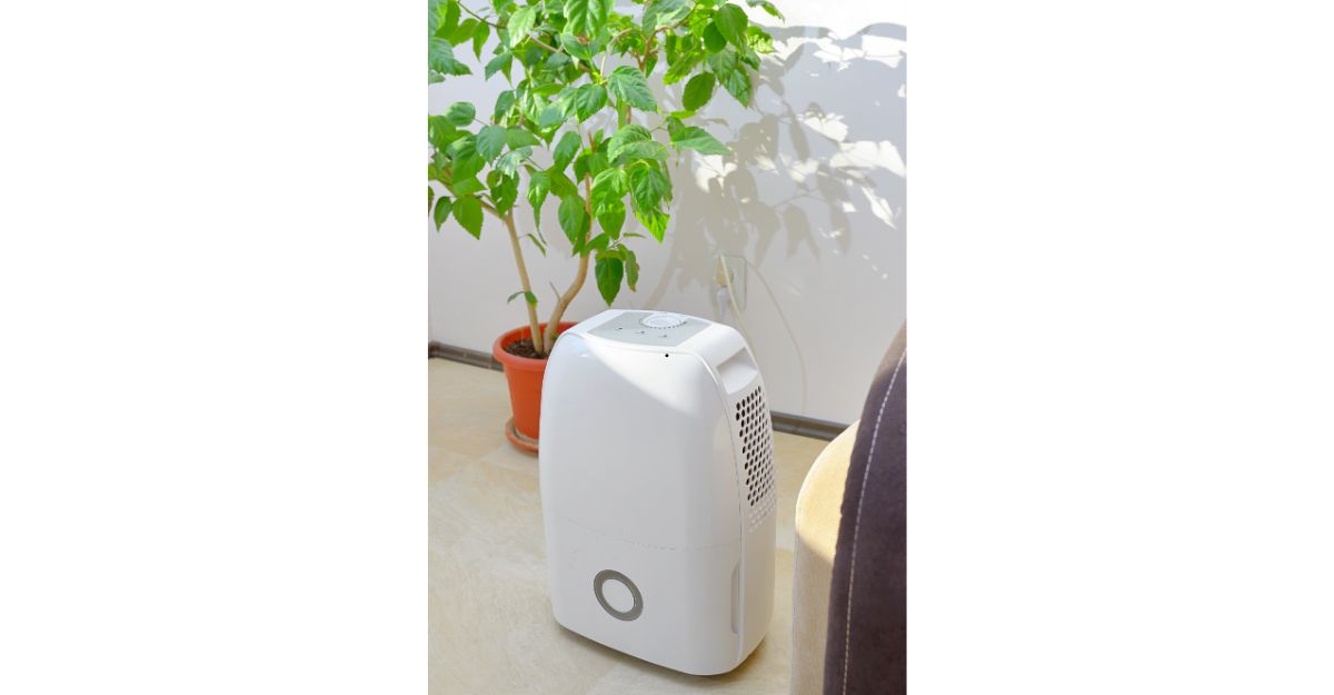 Best Dehumidifier Basement