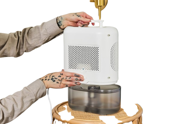 Best Dehumidifier for Bathroom