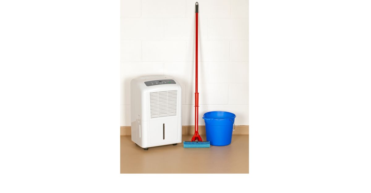 best dehumidifier