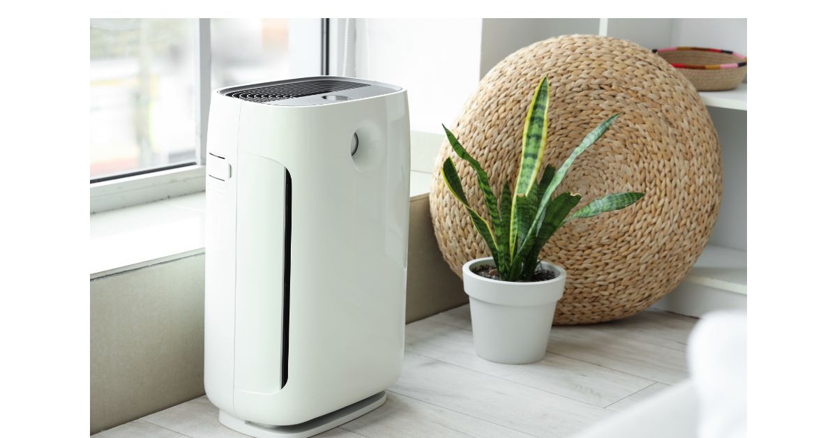 best air purifier